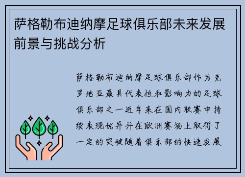 萨格勒布迪纳摩足球俱乐部未来发展前景与挑战分析 萨格勒布迪纳摩足球俱乐部未来发展前景与挑战分析